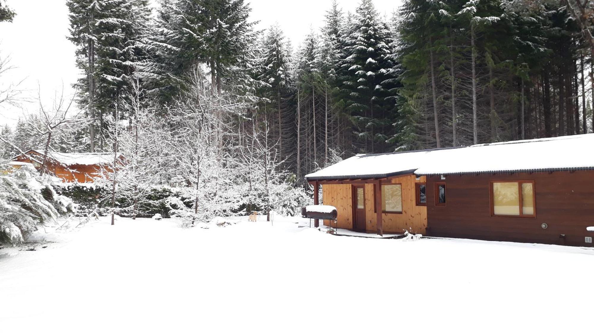 Alihuen Cabanas Cab 3 Сан-Карлос-де-Барілоче Екстер'єр фото